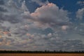 A summer field under a cloudy sunset sky in the gathering twilight of a July evening Royalty Free Stock Photo