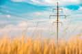Summer field of wheat with power line Royalty Free Stock Photo