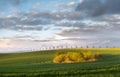 Summer fields, ripening grain crop fields in Germany Royalty Free Stock Photo