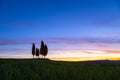 Summer in the fields of Tuscany in the sunrise