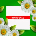 Summer Final Sale lettering and bouquet realistic daisy, camomile flowers on green background, online shopping, store Royalty Free Stock Photo