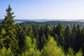 Summer fir forest and lake landscape (Karelia, Russia) Royalty Free Stock Photo