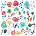 Summer flat flowers. Floral garden flowering plants, nature floral elements. Spring botanical vector set Royalty Free Stock Photo