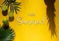 Summer Flat Lay, Tropical Fruits, Text Hello Summer