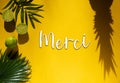 Summer Flat Lay, Tropical Fruits, Text Merci Means Thank You