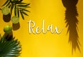 Summer Flat Lay, Tropical Fruits, Text Relax
