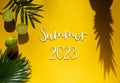 Summer Flat Lay, Tropical Fruits, Text Summer 2023