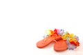 Summer Flip Flops Royalty Free Stock Photo