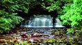 Cotter Force framed by teh vegetation