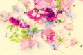 Summer, floral, artistic background with variety of petals and colors