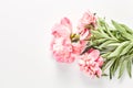 summer floral. beautiful frame of pink peony flowers on a white background. Royalty Free Stock Photo