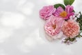 Summer floral decorative corner. Colorful garden flowers and herbs isolated on white table in sunlight. English roses