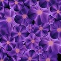 Summer floral seamless pattern. Flower background