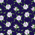 Summer floral seamless vector pattern