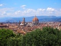 Summer Florence panorama