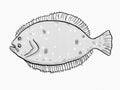 Summer flounder South Carolina Inshore Fish Cartoon Retro Drawing