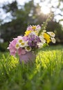 summer flower bouquet of multi-colored flowers in small souvenir metal bucket on green meadow in rays of setting sun Royalty Free Stock Photo