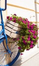 Summer flower box and bicycle Royalty Free Stock Photo