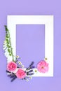 Summer Flower Decorative Floral Background Border Royalty Free Stock Photo