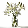 Simply Elegant: Summer Lilies Flowers in a Beautifully Styled Vase, Isolated on White Background - Generative AI Royalty Free Stock Photo