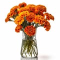 Bold and Beautiful: Summer Marigolds Flowers in a Striking Vase, Isolated on White Background - Generative AI Royalty Free Stock Photo