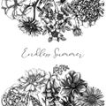 Summer flowers card in vintage style. Hand-sketched garden plants frame design. Perfect for greeting cards, wedding invites, and Royalty Free Stock Photo