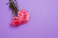 Summer flowers composition with girl hand isolated on background. Mother and women day. Valentine holidays concept. Top view and Royalty Free Stock Photo