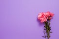 Summer flowers composition isolated on background. Mother and women day. Valentine holidays concept. Top view and copy space. Royalty Free Stock Photo