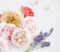 Composition of red roses and violet lavender. Royalty Free Stock Photo