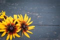 Summer flowers on dark wooden table background. Backdrop with copy space Royalty Free Stock Photo