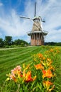 Summer flowers with duch windmill on background Royalty Free Stock Photo