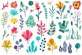 Summer flowers flat. Floral garden flower flowering plant nature florals beauty spring anniversary artwork botanical