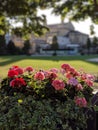 Summer flowers in front of public gardens in Montpellier, Cheltenham