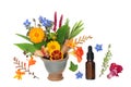 Summer Flowers and Herbs for Aromatherapy Essential Oil Royalty Free Stock Photo