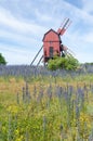 Summer flowers by an old wooden windmill Royalty Free Stock Photo