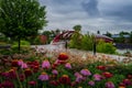 Summer Flowers By The Peace Bridge