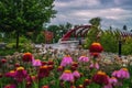 Summer Flowers By The Peace Bridge