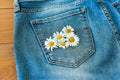 Summer flowers in the pocket of my jeans against a blue background