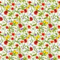 Summer flowers poppies, chamomile, grass. Seamless pattern. Watercolor