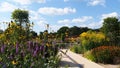 Summer flowers at the RHS Bridgewater Gardens in Salford, Northern England Royalty Free Stock Photo