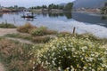 Summer flowers and Shikara in Dal lake,Srinagar,Kashmir,India Royalty Free Stock Photo