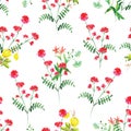 Summer flowers watercolor seamless vector pattern