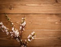 Summer Flowers on wood texture background with copyspace Royalty Free Stock Photo