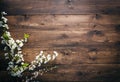 Summer Flowers on wood texture background with copyspace Royalty Free Stock Photo