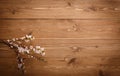 Summer Flowers on wood texture background with copyspace Royalty Free Stock Photo