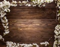 Summer Flowers on wood texture background with copyspace Royalty Free Stock Photo