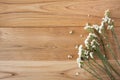 Summer Flowers on wood texture background with copyspace Royalty Free Stock Photo