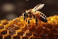 bee macro yellow closeup wild nature pollen background gold honey insect. Generative AI.