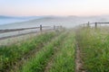 Summer foggy mountain landscape with rural road with fence. Carpathians, Ukraine Royalty Free Stock Photo