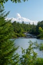 Summer Foilage around Lower Tahquamenon Falls river flow Royalty Free Stock Photo